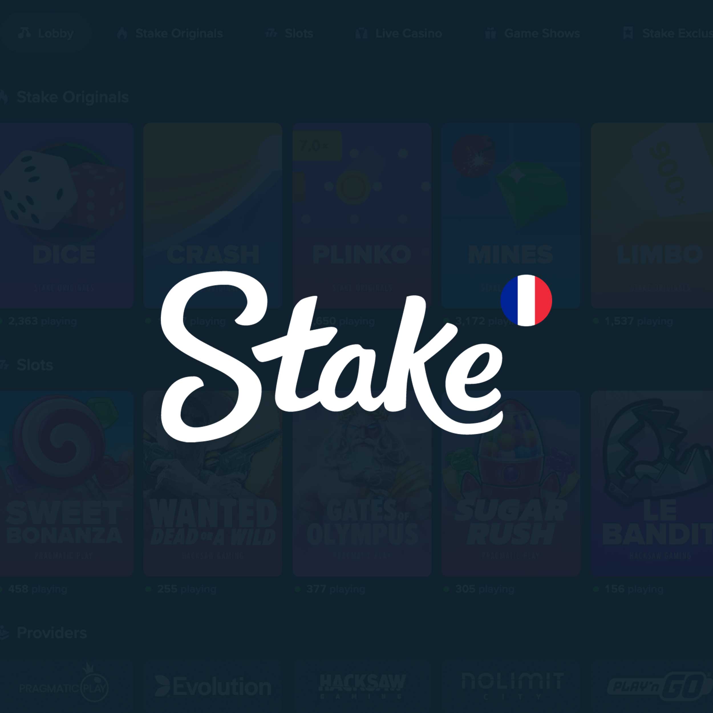 (c) Stakecasino.fr